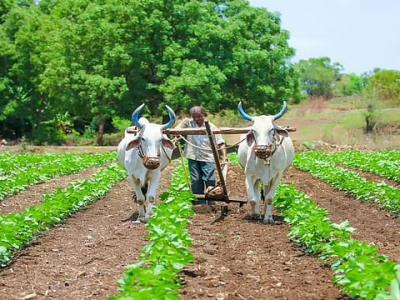 दुसऱ्या महाराष्ट्राचे काय करायचे&nbsp;?