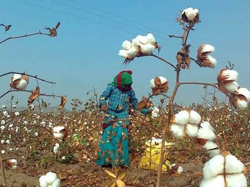 कर्जमाफीने शेतकऱ्यांचे प्रश्न सुटणार&nbsp;का..?